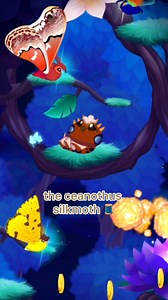 6.2K views · 106 reactions | Which one is your favourite? 樂 | Flutter: Starlight | Facebook