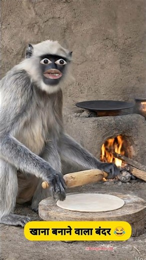 खाना बनाने वाला बंदर #funny #thetharpuns #shilpisaroja #comedy