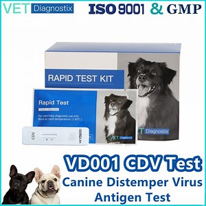 [Hot Item] Canine Distemper Virus Antigen Test