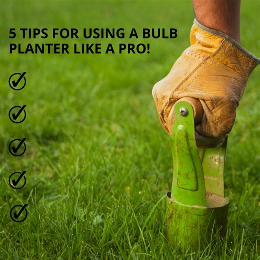 7.9K views · 13 reactions | 5 Tips for Using a Bulb Planter Like a...