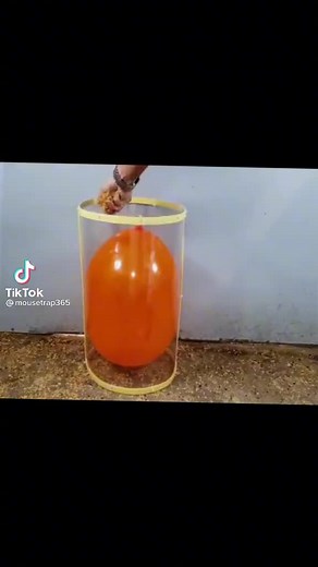 Fav Trap Ever 🤠 #mouse #mousetrap #mousetraps #fyp #fypシ #fypage #fyppppppppppppppppppppppp