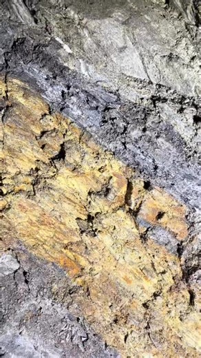 This mine has it all! Hand hewn Timbers, minerals, and even a mine frog! 🐸 #pnw #offcourseexplorations #lostmine #history | The Official Off Course Explorations Page