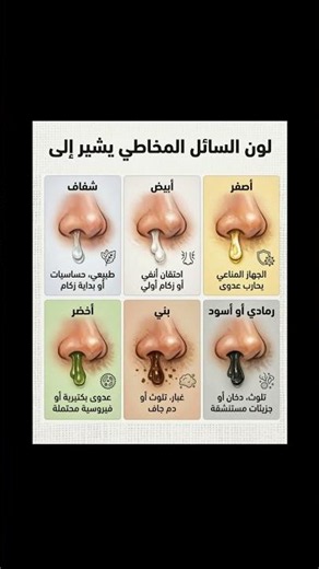 ماذا يخبرك لون السائل المخاطي عن حالتك الصحية؟ دليل مبسط 🩺