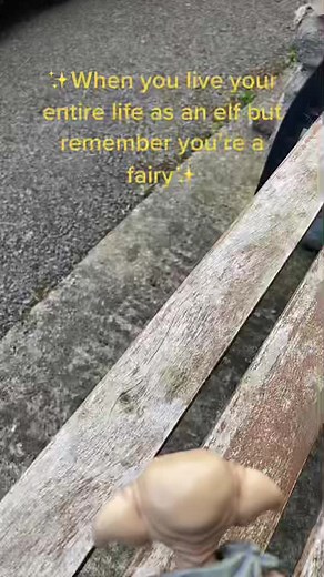 ⚠️No house elves were harmed in the making of this video⚠️ #fyp #foryoupage #viral #dobby #funny #fairy #goofyafairyqccount
