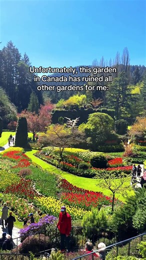 🗺️ Want my FREE Victoria map guide with over 250 pins of landmarks, restaurants, cafes, bars, & photo spots? Just follow @morgan.wanders and find it in my bio! I feel like Victoria is not nearly well-known enough as a vacation destination for how beautiful it is and how much it has to offer! I am starting my quest to try and encourage more people to visit this beautiful Canadian city. 📍 Butchart Gardens, 30 minutes outside of Victoria, BC 🌷 We are only a month away until Butchart Gardens hits