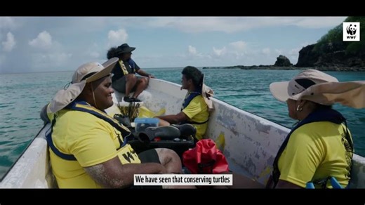 Safeguarding Turtle Nesting Populations in Fiji | WWF-Fiji | WWF-Pacific