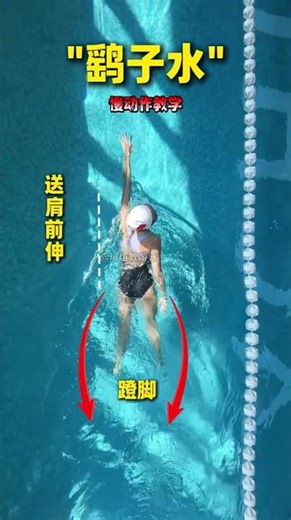 Most Popular Wild Swimming Technique Explained