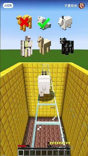 🔥 Minecraft Mobs Challenge! Can I Survive Against Every Mob? 😱 | Minecraft Survival Challenge