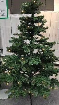 Bester Kunstweihnachtsbaum 202 Black Box Trees Macallan