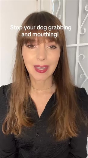Mouthing and grabbing can be annoying and even dangerous in adult dogs. Take a look at how I work to modify and stop these behaviors without the use of correction. Once I’ve made sure there are no medical issues that might be exacerbating behavior, I’m ready to work, taking into account both the dog’s and client’s needs. #victoriastilwellacademy #victoriastilwellpositively #dogtraining #vspdt #dogs #dog #victoriastilwell | Victoria Stilwell