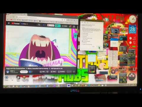 Salon Bob Screaming Has BSOD