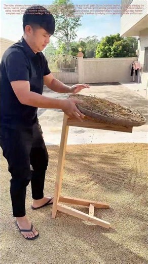 Grain Cleaning Hack: How Farmers Sort Crops with a Simple Wooden Bench