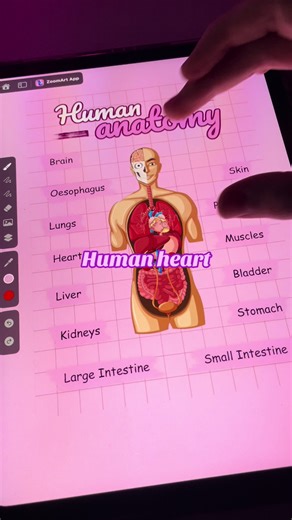 Enhance Note-Taking with ZoomArt App on iPad