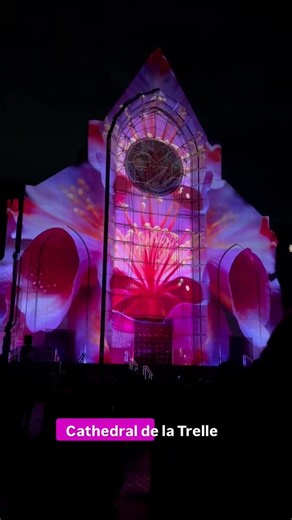 #lifeinfrance The Best Free Event in Lille Tonight! 🏮✨ Video Mapping Festival 2026