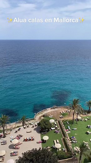 View 🌴 #paradiso #palmademallorca #view #panoramic #neiperte