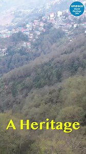 440K views · 10K reactions | A Train, A Heritage… Darjeeling toy train!  #WorldHeritageDay | Ashwini Vaishnaw | Facebook