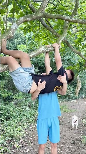 Hero Dog Saves a Baby Trapped in a Tree – Emotional Rescue Story 🐶#dogs #pets #lovedog