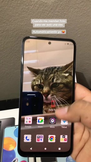 Motorola G31: Aesthetic and Camera Features