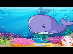 Cuento "Animales del mar"