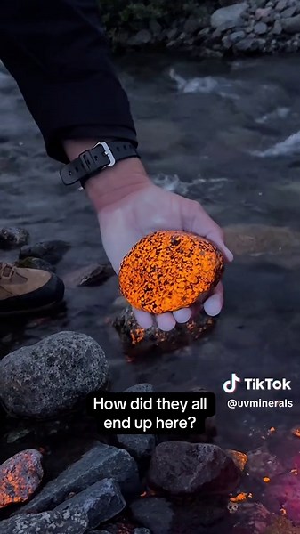 The official mineral of these glowing rocks is sodalite and some of the brightest in the world under UV light 🔦 Videos taken using a 365nm UV flashlight #greenland #uvreactive #rocktok #sodalite