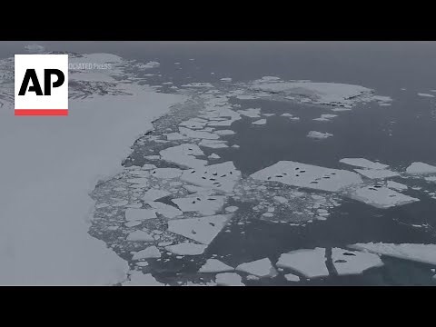 Scientists say melting Antarctic iceberg poses major sea level threat