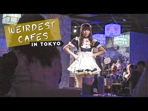 The Weirdest Cafes in Tokyo