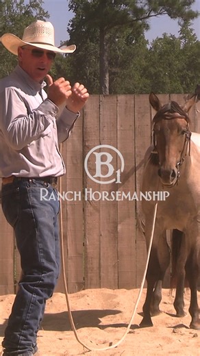 12K views · 334 reactions | Using the flag can be a fine line. #B1 #es20 #horse #BEONE #coltstarting #RespectTheCode #b1horsemanship | B1 Horsemanship | Facebook