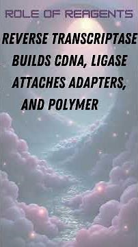 RNA Seq Isoform Quantification