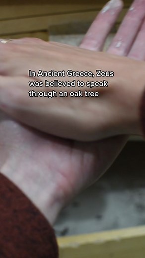 Ancient Greek Mythology: The Oracle of Dodona and the Sacred Oak Tree