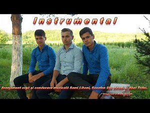 Fratii Lihoni Instrumental