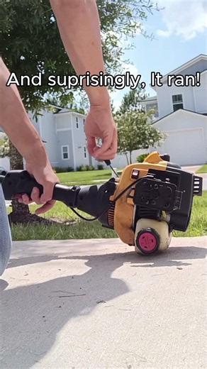 Bolens BL110 Weedeater Rescue #lawncare #smallenginerepair #2stroke #weedeater #brushcutter