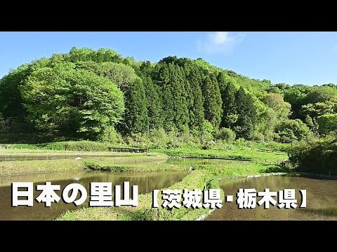 日本の里山①～④ 美しい新緑の風景【茨城県・栃木県】