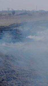 In the race against climate change, how can industrial AI help accelerate sustainability initiatives? 🤖 🌱 Our newest report “A New Pace of Change: Industrial AI x Sustainability” - produced in partnership with Reuters Events Technology - dives into the key challenges and opportunities. Featuring new data and insights from senior executives and leading academics, it explores the potential of AI, when combined with deep domain know-how, to transform our ability to master complex problems at spee