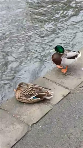 A couple of nights stay at rutland hotel bakewell and a 🍺 in thornbridge brewery 🍻