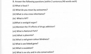 QuestionsB. Answer the following questions (within 2 sentence... | Filo