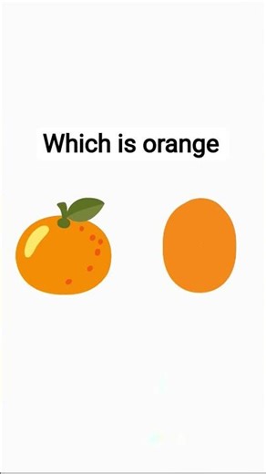 Which one is ACTUALLY the orange? 🍊🤔