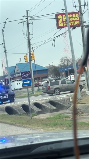 Don't Forget Your Pets When Traveling to Alabama