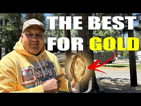 Best Budget Metal Detector for Gold? I Actually Recommend This One!
