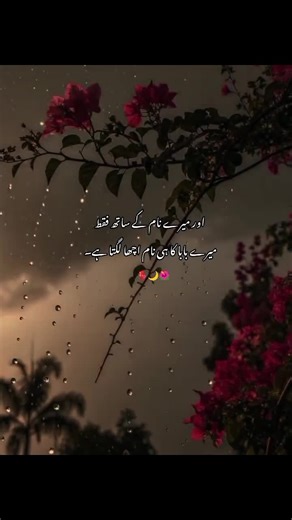 Feedback on Account Status