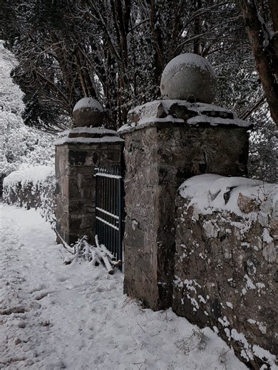 Exploring Dark Aesthetics in Cemetery Settings