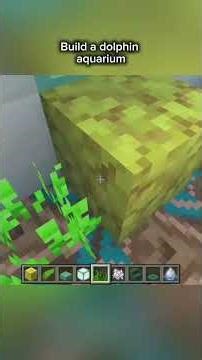Minecraft - build a dolphin aquarium