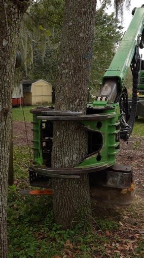Power, precision, and respect for nature 🌳💪 Modern forestry equipment making tough work safer and more efficient—turning hard labor into smart engineering. #ForestryLife #TreeWork #HeavyEquipment #WoodProcessing #MachinePower | Farmer girl