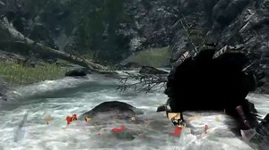 Immersive Fallen Trees