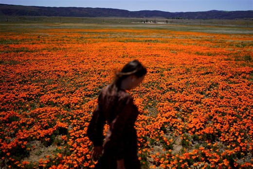 Welcome to allergy season. Here's how to protect yourself