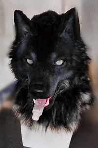Premade Realistic Wolf Fursuit-movable Jaw-wolf Head Halloween Cosplay Mask-furry Costume Accessories-furry Headpiece - Etsy UK