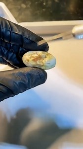 Children’s Python Egg Gone Bad