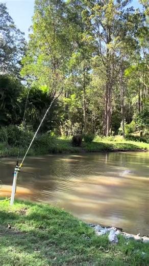 old bloods idea using 90 mtr bore on a pool timer to fill tank-plus a hose timer to deliver aeration
