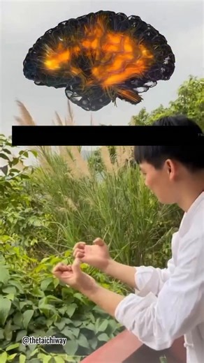 7.9K views · 2.3K reactions | 5-Min Hand Moves to Sharpen Memory & Prevent Dementia! #BrainHealth #MemoryBoost #DementiaPrevention #HandExercise #Taichi #Wudang | Holistictaichihealing | Facebook