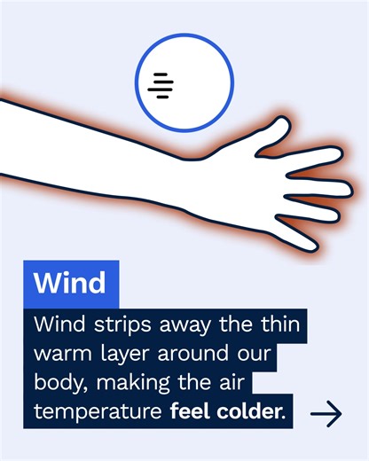 9.3K views · 37 reactions | Bureau of Meteorology on Reels | Facebook