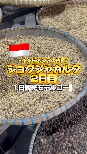 ジョグジャカルタ観光モデルコース✨ボロブドゥール遺跡→お昼ごはん→コピルアック→マリオボロ通りで夜ごはん #海外一人旅 #ジョグジャカルタ #ボロブドゥール #海外旅行vlog